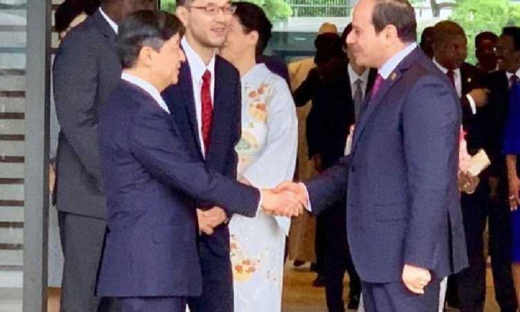 إمبراطور اليابان يستقبل الرئيس السيسى