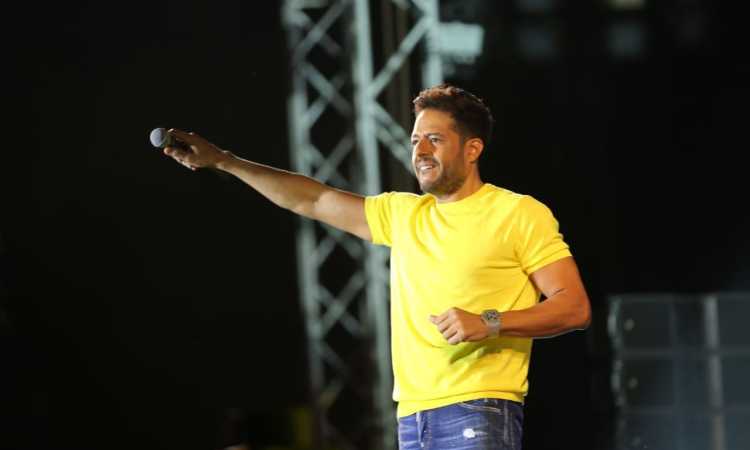 محمد حماقى