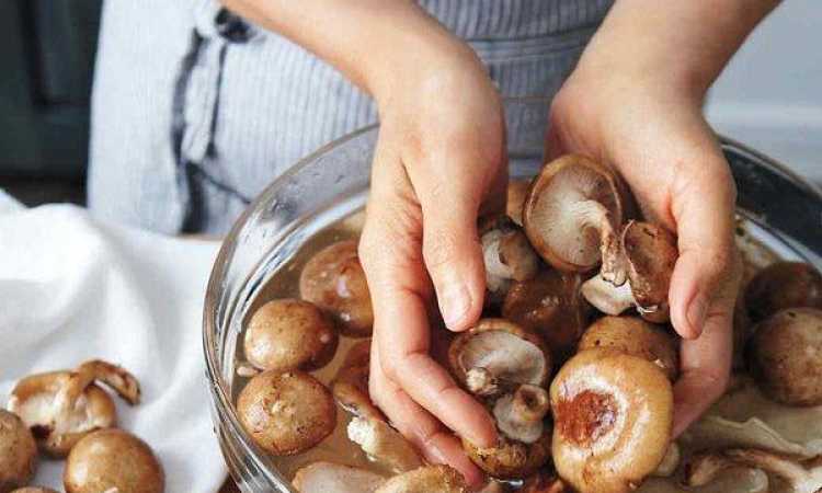 تناول الفطر