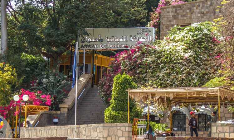 الحديقة النباتية بأسوان