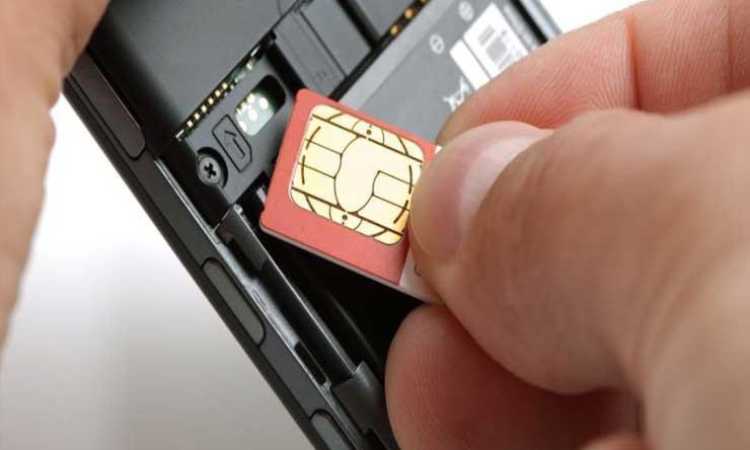 شريحة الهاتف