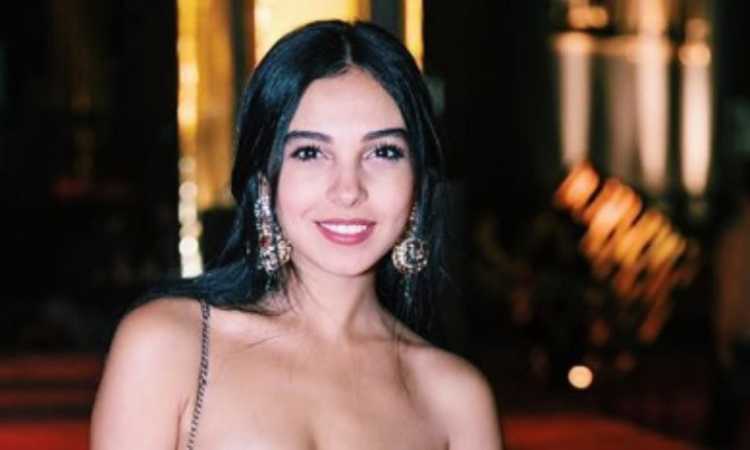 الفنانة سلمى أبو ضيف