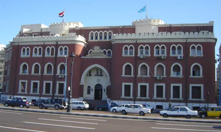 جامعة الإسكندرية