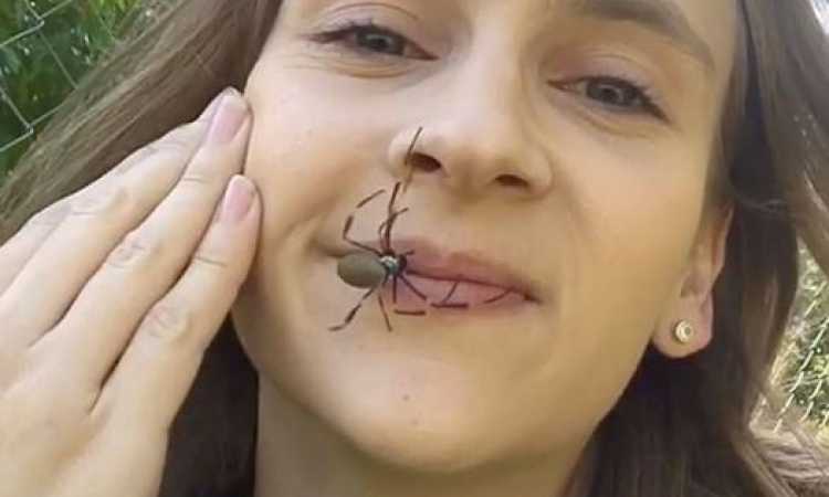 ارنى روبوك