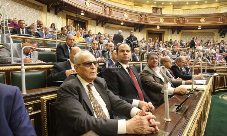 الجلسة العامة لمجلس النواب