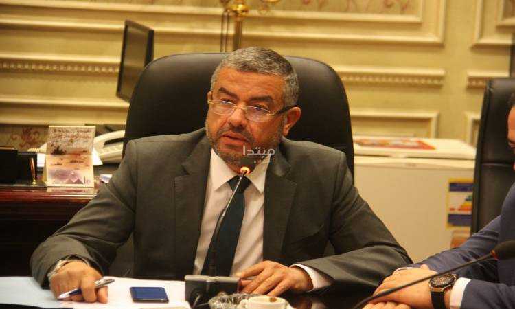 النائب عماد حمودة