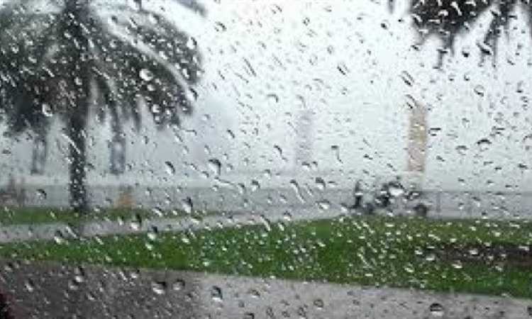 أمطار - أرشيفية