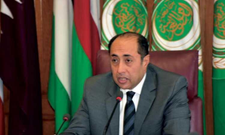 السفير حسام زكى