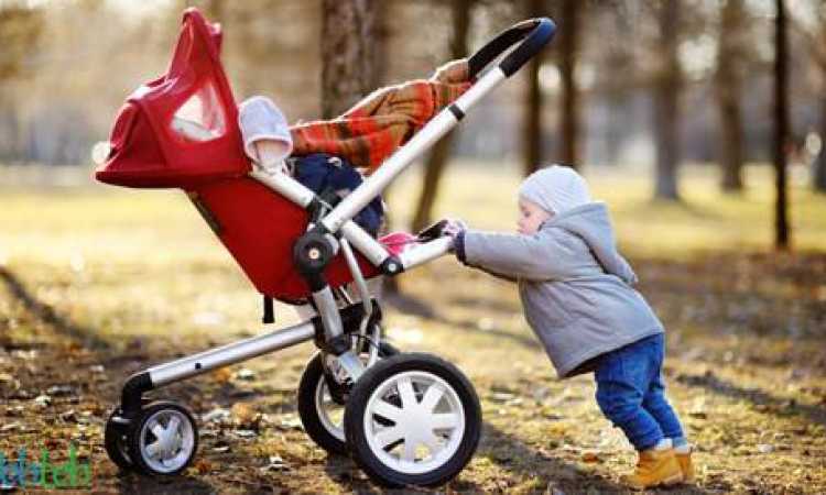 عربات الأطفال