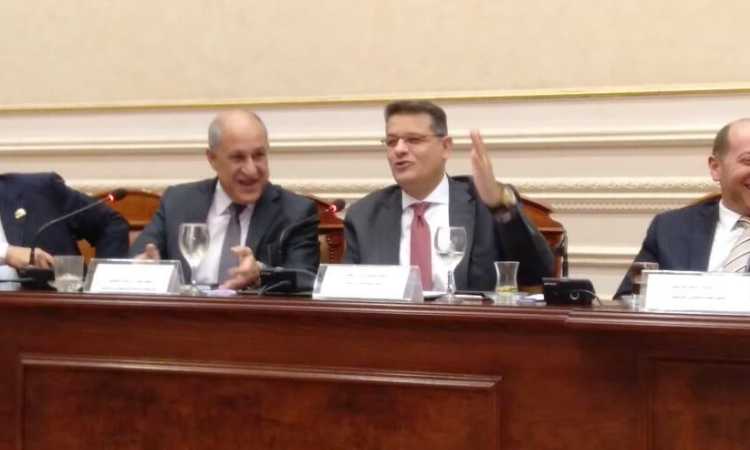 لجنة الشئون الإفريقية بمجلس النواب