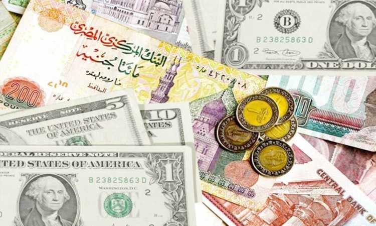 سعر الدولار