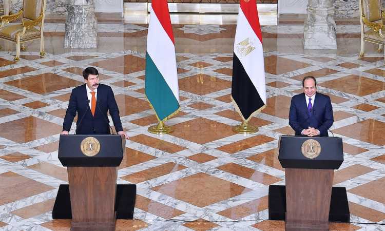 لقاء الرئيس عبدالفتاح السيسى بالرئيس المجرى