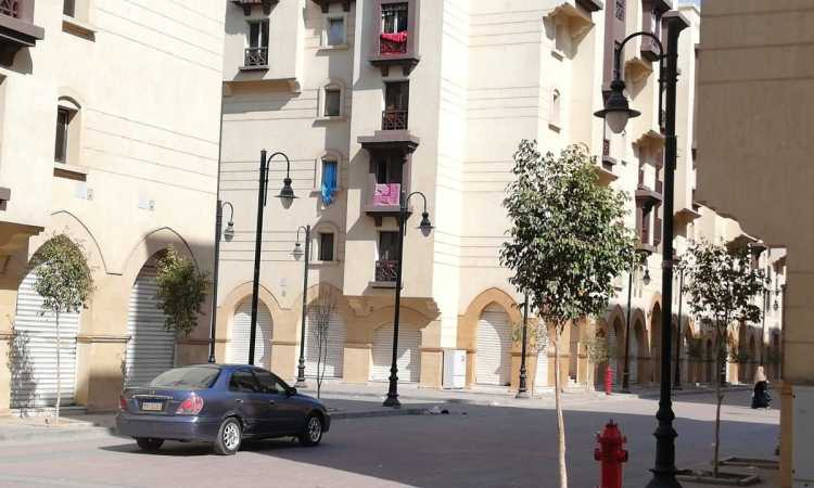 مشروع روضة السيدة