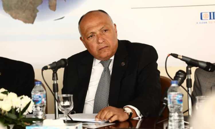 سامح شكرى