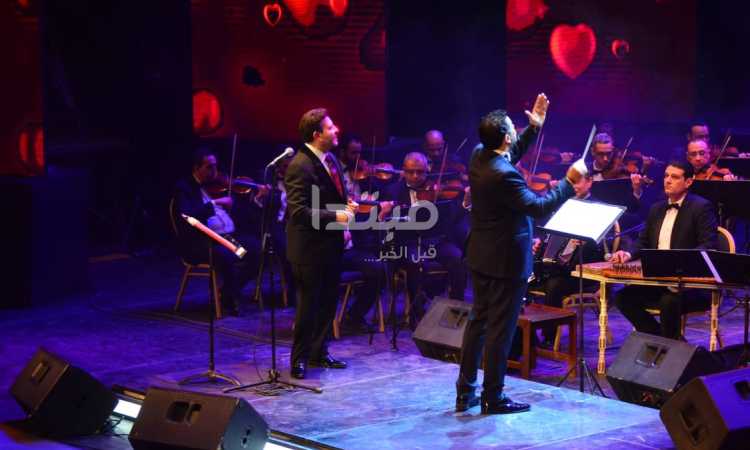 هانى شاكر