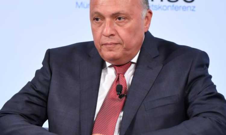 سامح شكرى