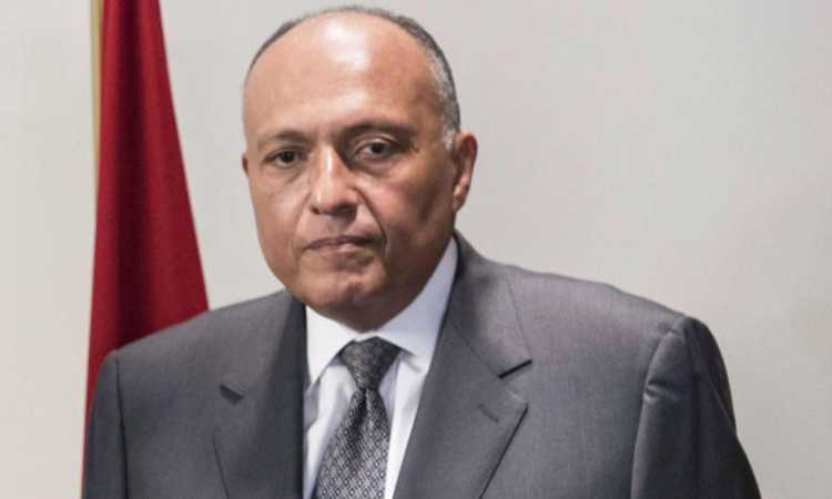 سامح شكرى