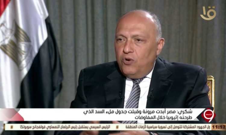 وزير الخارجية سامح شكرى
