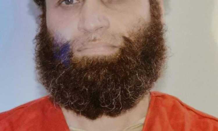 هشام عشماوى