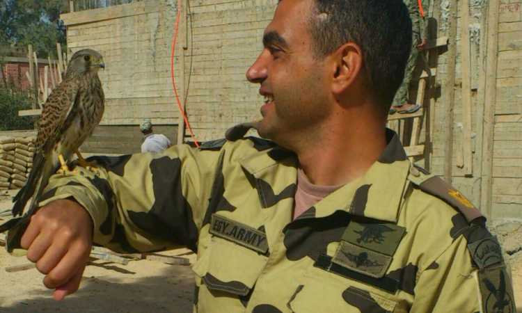 أحمد منسى