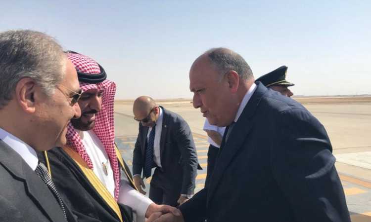 سامح شكرى