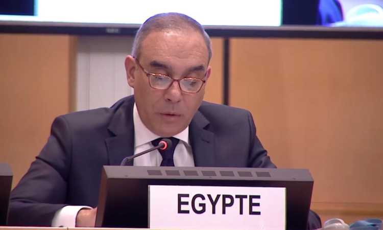 الوفد الحقوقى المصرى