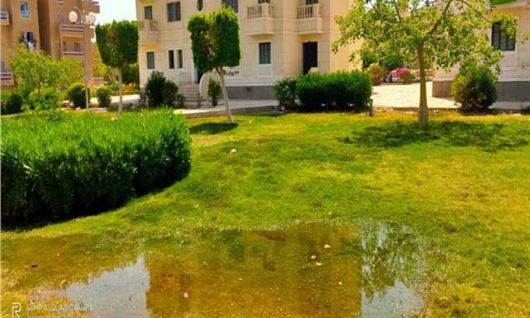 غمر الحدائق بالمياه