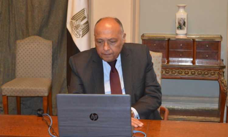 سامح شكرى