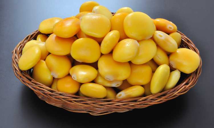 الترمس
