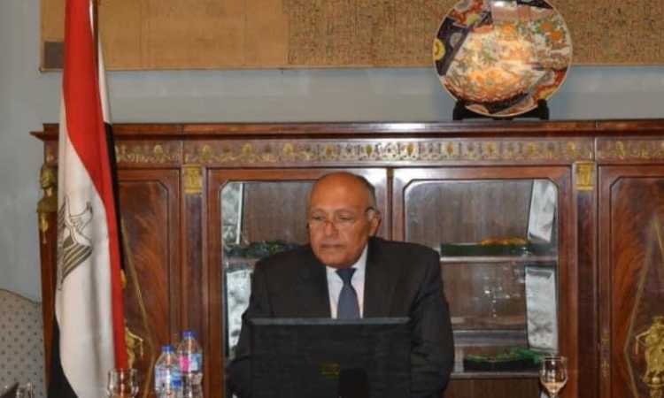 سامح شكرى ـ وزير الخارجية
