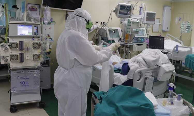 إصابات كورونا
