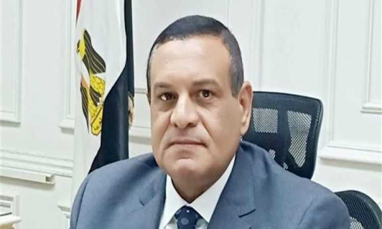 محافظ البحيرة