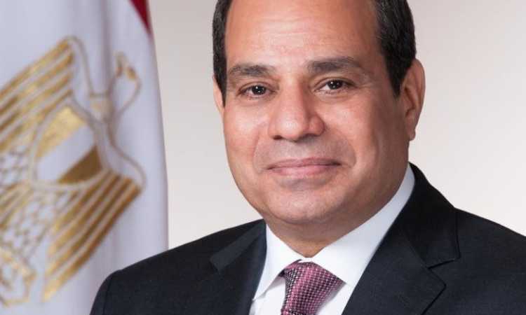الرئيس عبدالفتاح السيسى