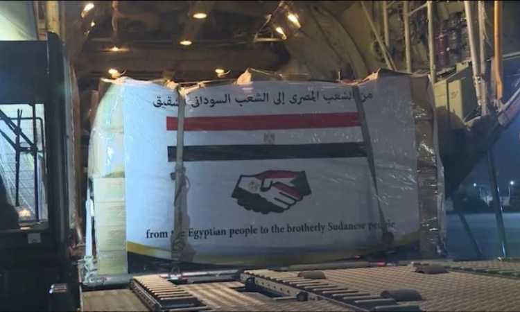 المساعدات المصرية