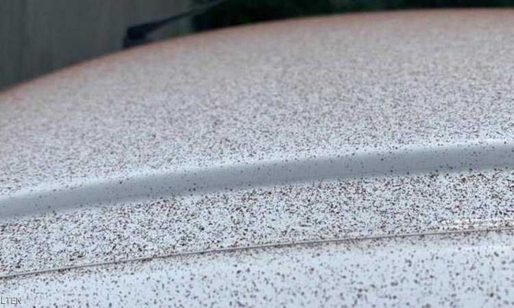 سماء سويسرا تمطر شيكولاتة