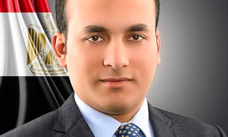 النائب عمرو فهمى