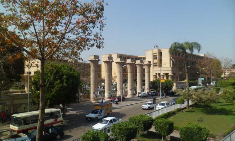 جامعة عين شمس