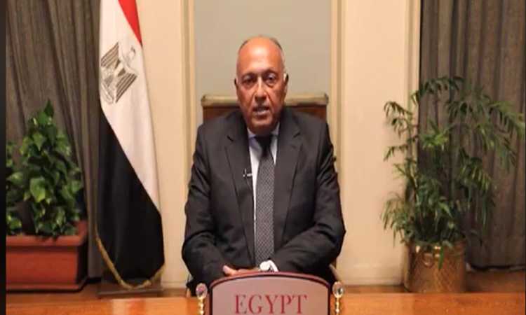 سامح شكرى