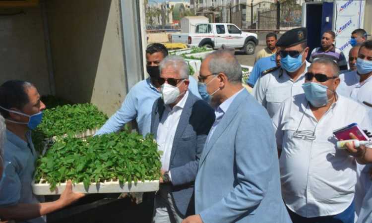 محافظ جنوب سيناء