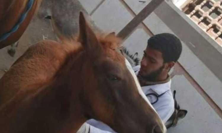 قافلة بيطرية