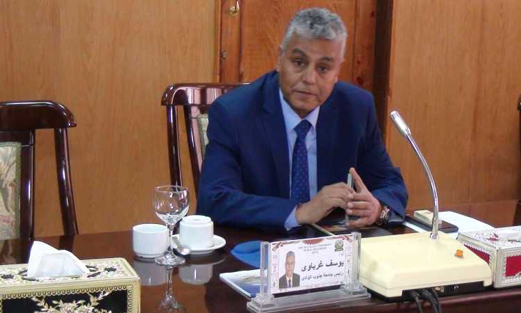 الدكتور يوسف غرباوى رئيس جامعة جنوب الوادى