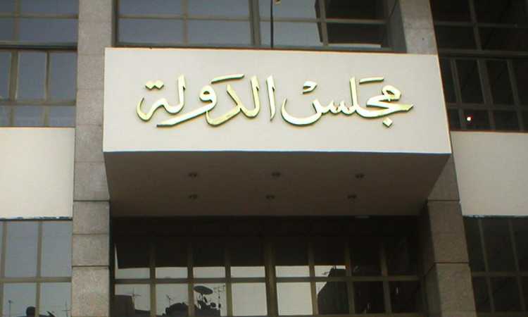مجلس الدولة
