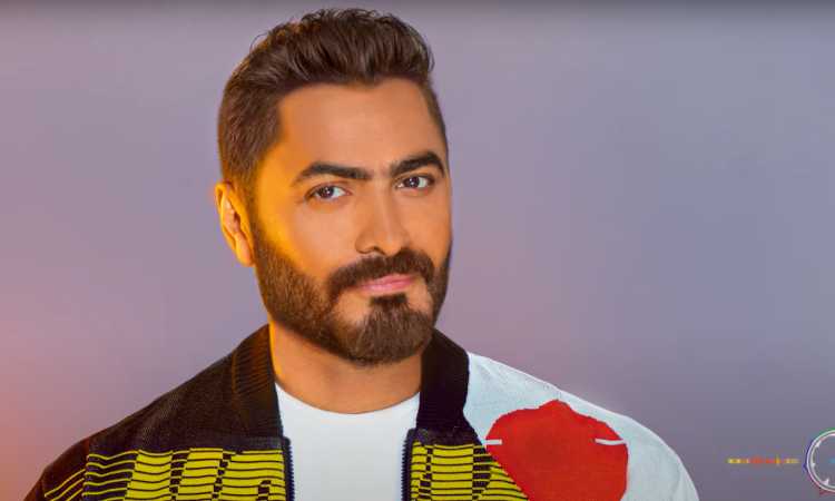 تامر حسنى