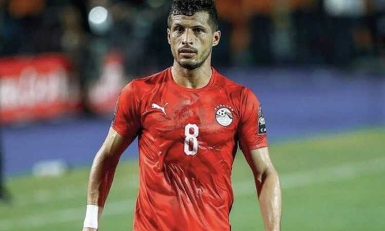 طارق حامد