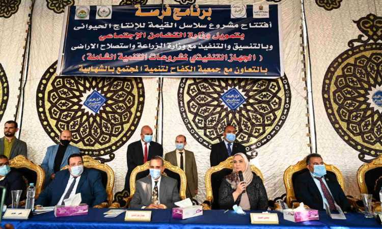 نيفين القباج وزيرة التضامن