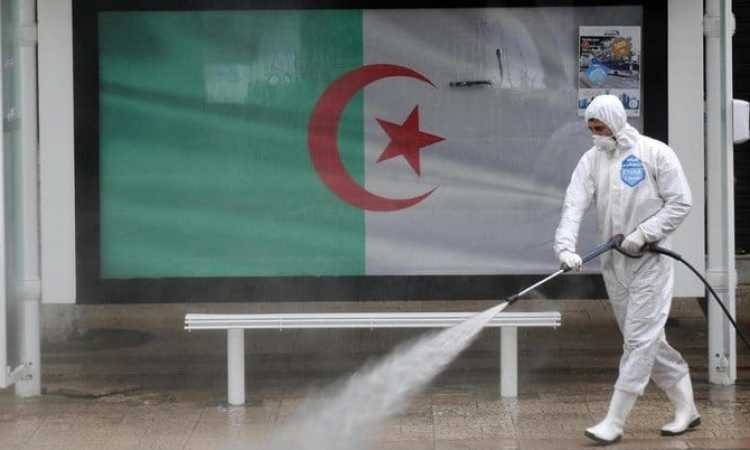 كورونا فى الجزائر