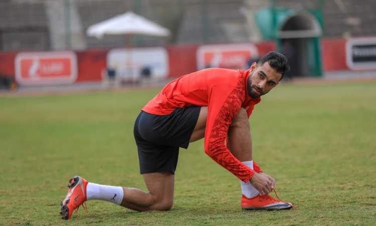 عمرو السولية