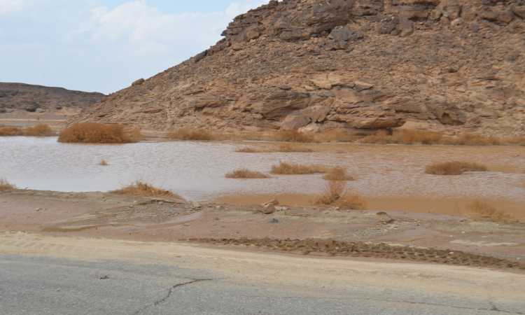 طريق القصير