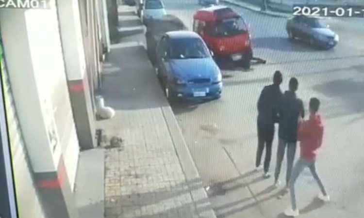 ميكروباص يدهس عامل فى الإسكندرية