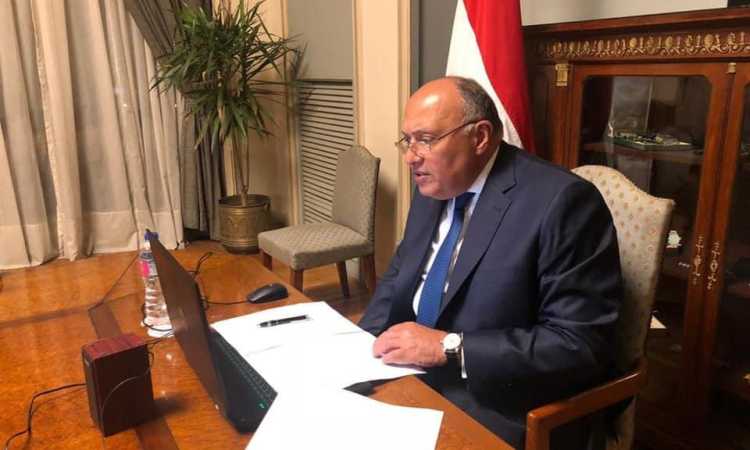 سامح شكرى